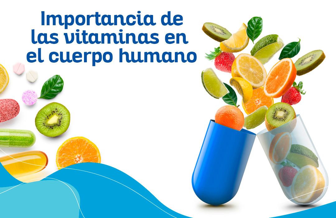 Importancia De Las Vitaminas En El Cuerpo Humano Millenium Natural Systems 8379