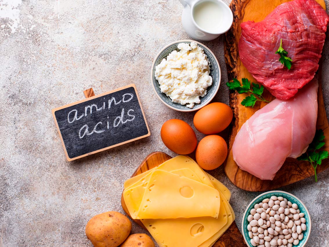 ¿Por qué y en qué momento se deben tomar aminoácidos? Millenium
