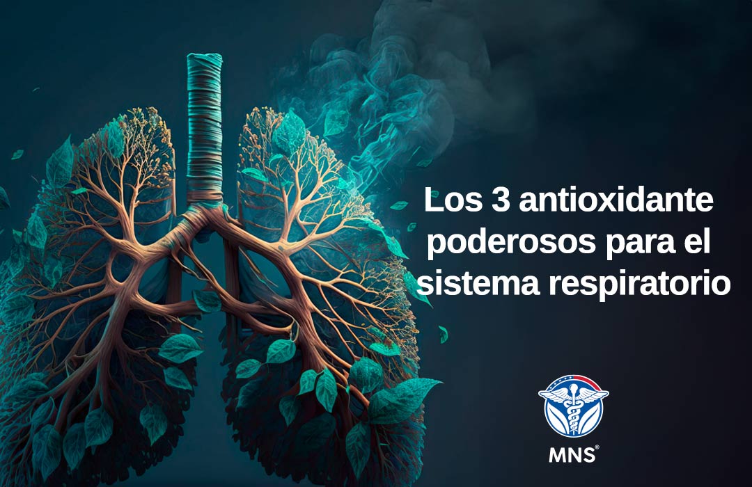 Blogs antioxidantes poderosos para el sistema respiratorio Millenium Natural Systems